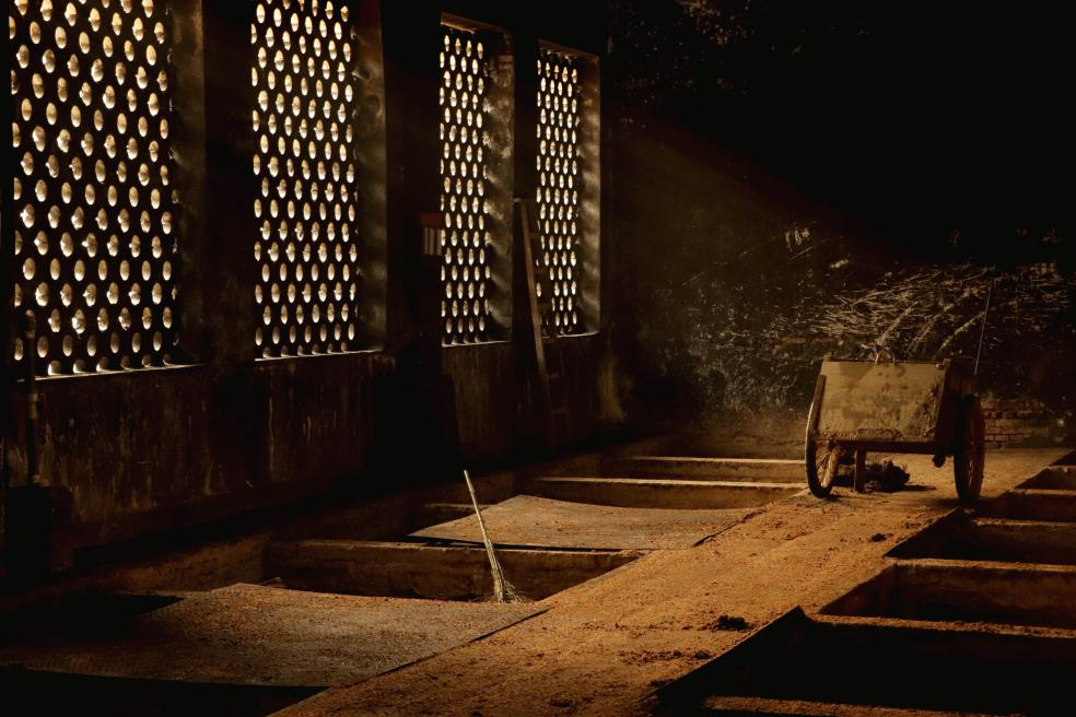 央媒點贊四特酒！ 深度解讀四特酒守正創新的品牌精神內核