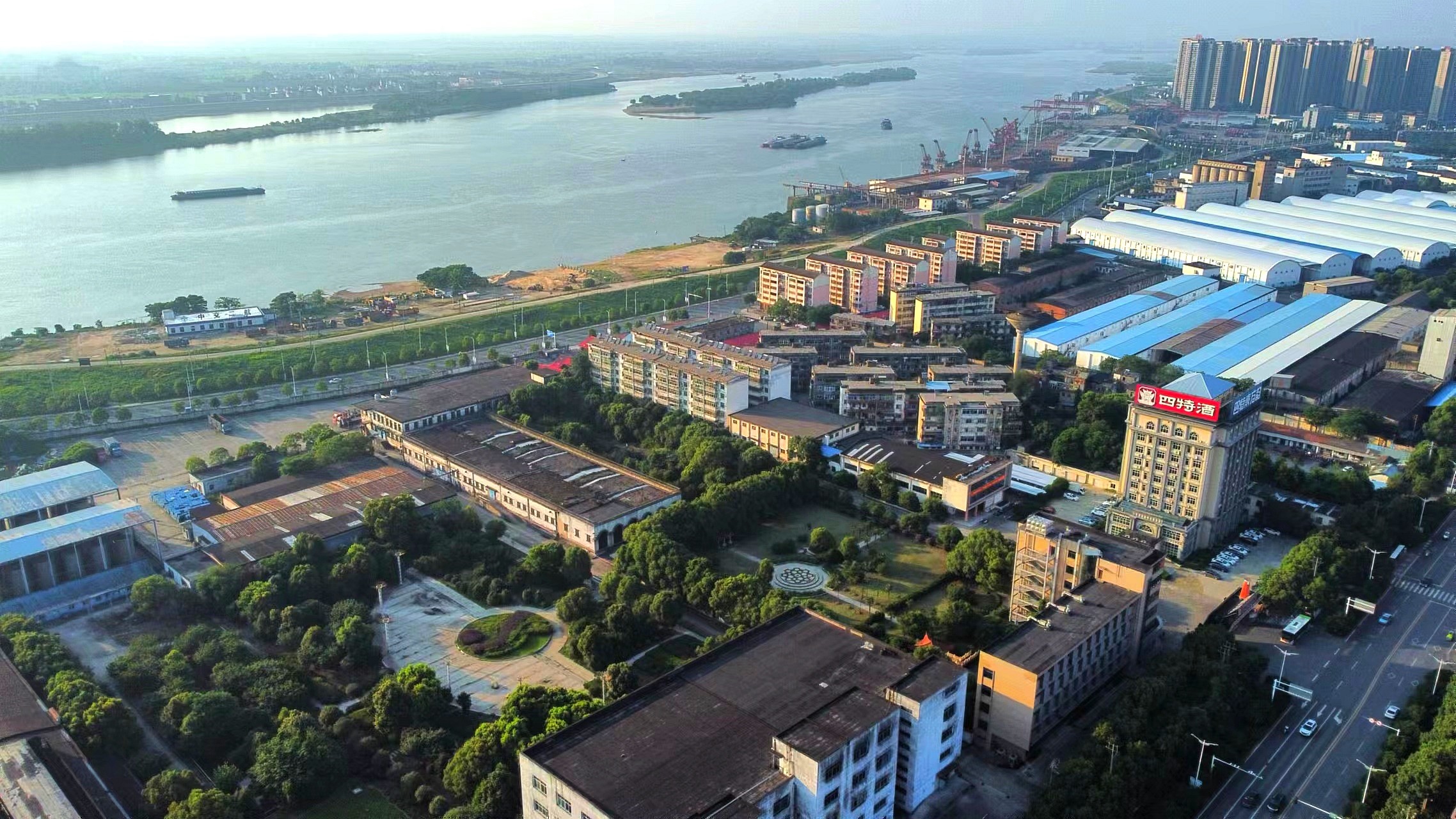 1729584347732004262.jpg 1.jpg