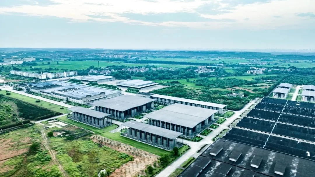 1764232830993092242.jpg 7.webp.jpg